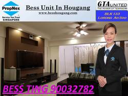 Blk 133 Lorong Ah Soo (Hougang), HDB 5 Rooms #165998032